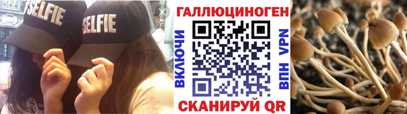 Псилоцибиновые грибы прущие грибы  Среднеколымск 